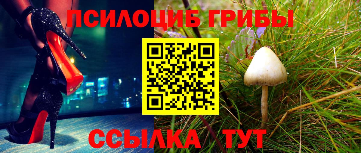 даркнет сайт  Галлюциногенные грибы Psilocybe  Вход с VPN  Аксай 